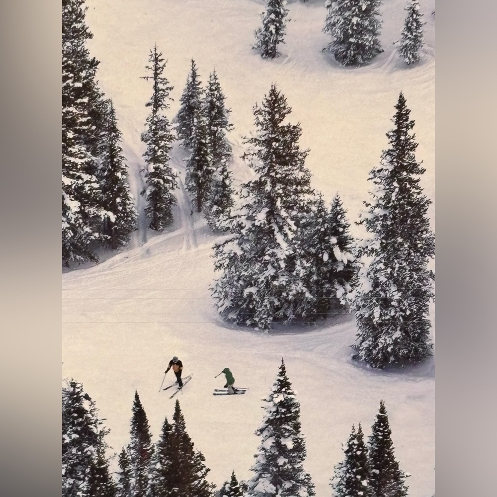 πβοΈπ Gray Malin "The Snow" 500-Piece Puzzleπ βοΈπ - Picture 3 of 6